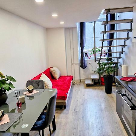 Ljubljana Nest- Centre, Free Parking- Renovated August 2024 아파트 외부 사진